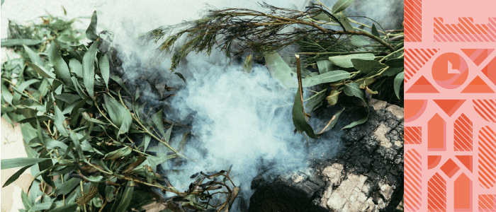 Close up of eucalypts during a smoking ceremony. 