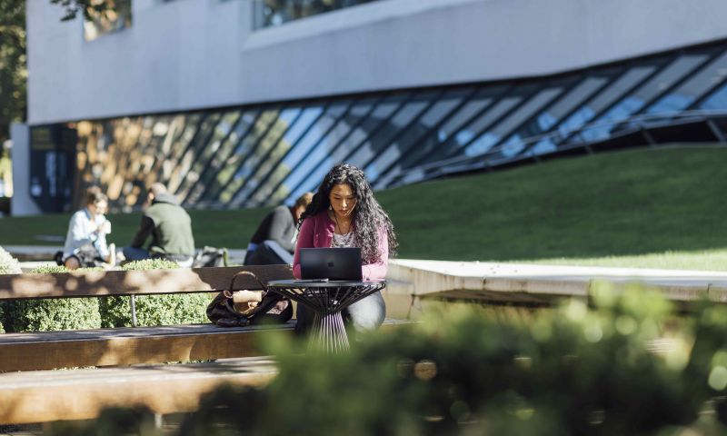 Student sitting outside on campus looking at their laptop