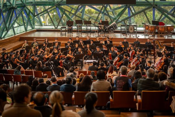 audience looking at amso orchestra