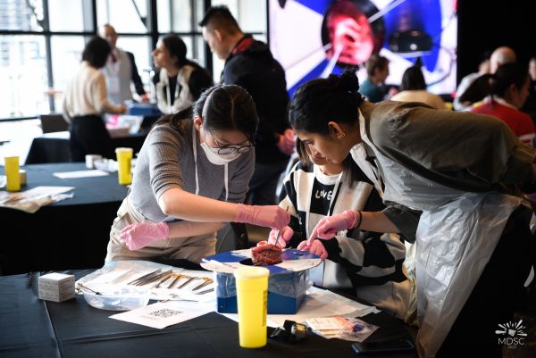 medical workshop practicing on animal organ