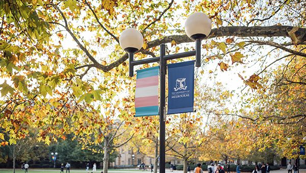 Lampost on Uni Melb grounds featuring a banner with the trans pride colours.