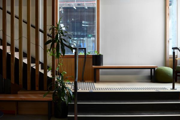 Modern interior space with wooden stairs, bench seating, and indoor plants.