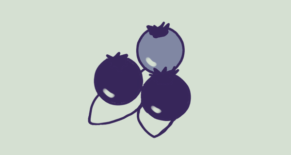 Graphic of blueberries