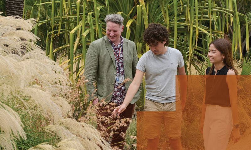 Two students inspecting plant life
