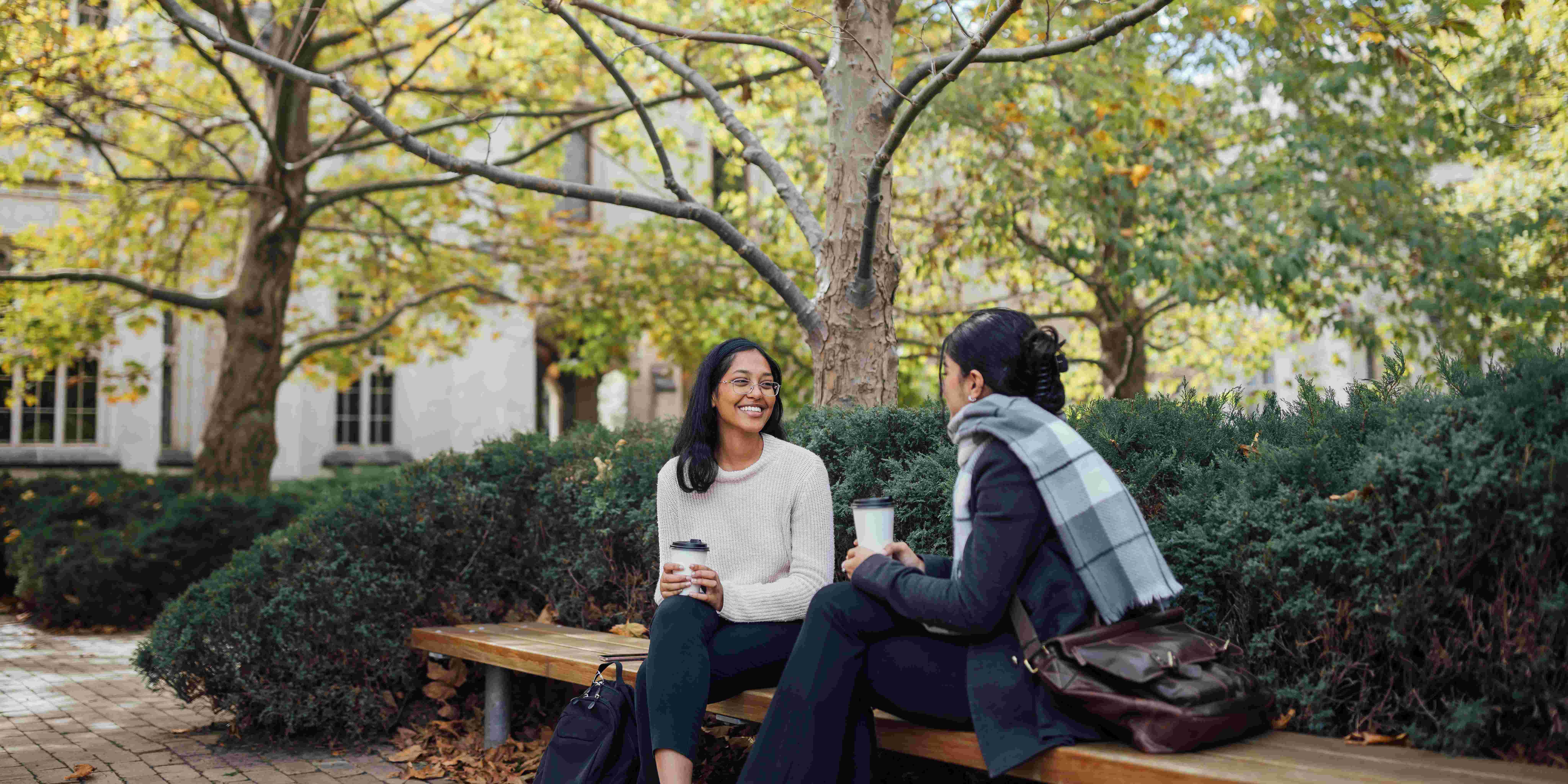 Career mentoring