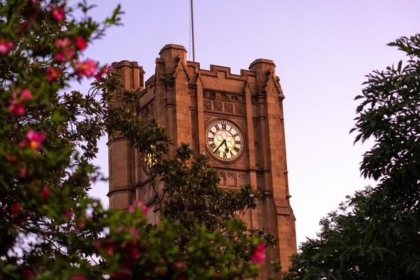 The historic Old Arts clock tower rises above lush green trees and pink flowers against a clear twilight sky.