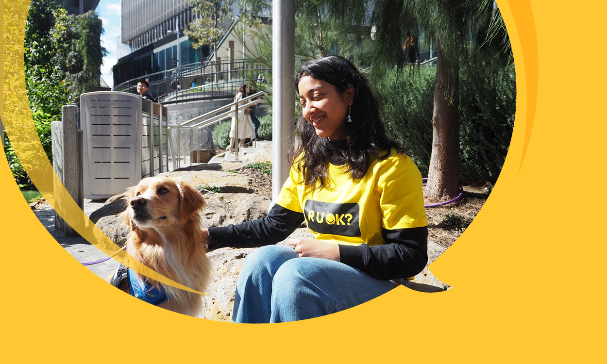 A student wearing a yellow R U OK? Day t-shirt is patting a therapy dog in an outdoor amphitheatre. 